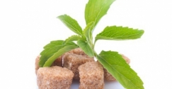 Süßen ohne Zucker: Was ist dieses Stevia?