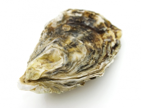 Aphrodisiakum-Austern.jpg
