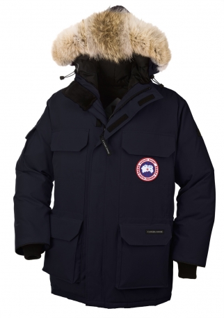 Canada_Goose.jpg