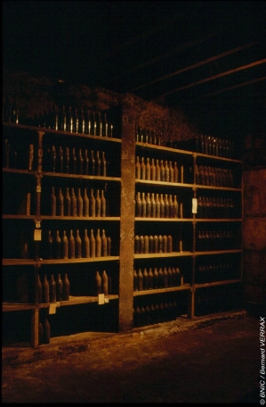 Cognac1.jpg