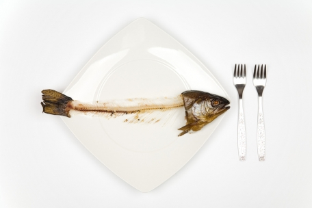 Fischgräte.jpg