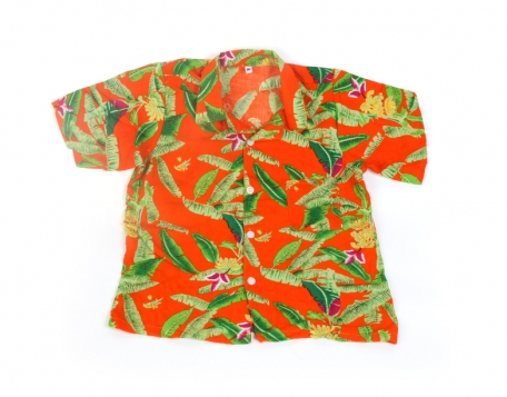 Hawaiihemd.jpg