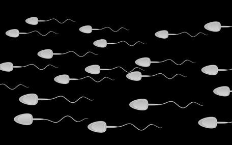Killer-Spermien.jpg