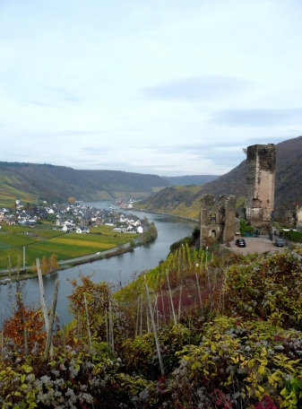 Riesling.jpg