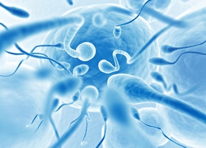 Sperma.jpg