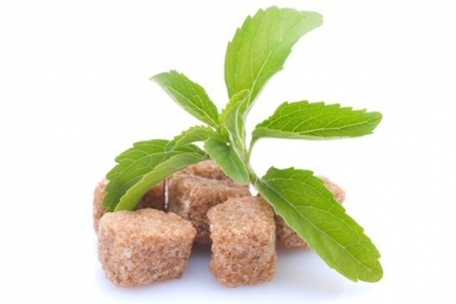 Stevia.jpg